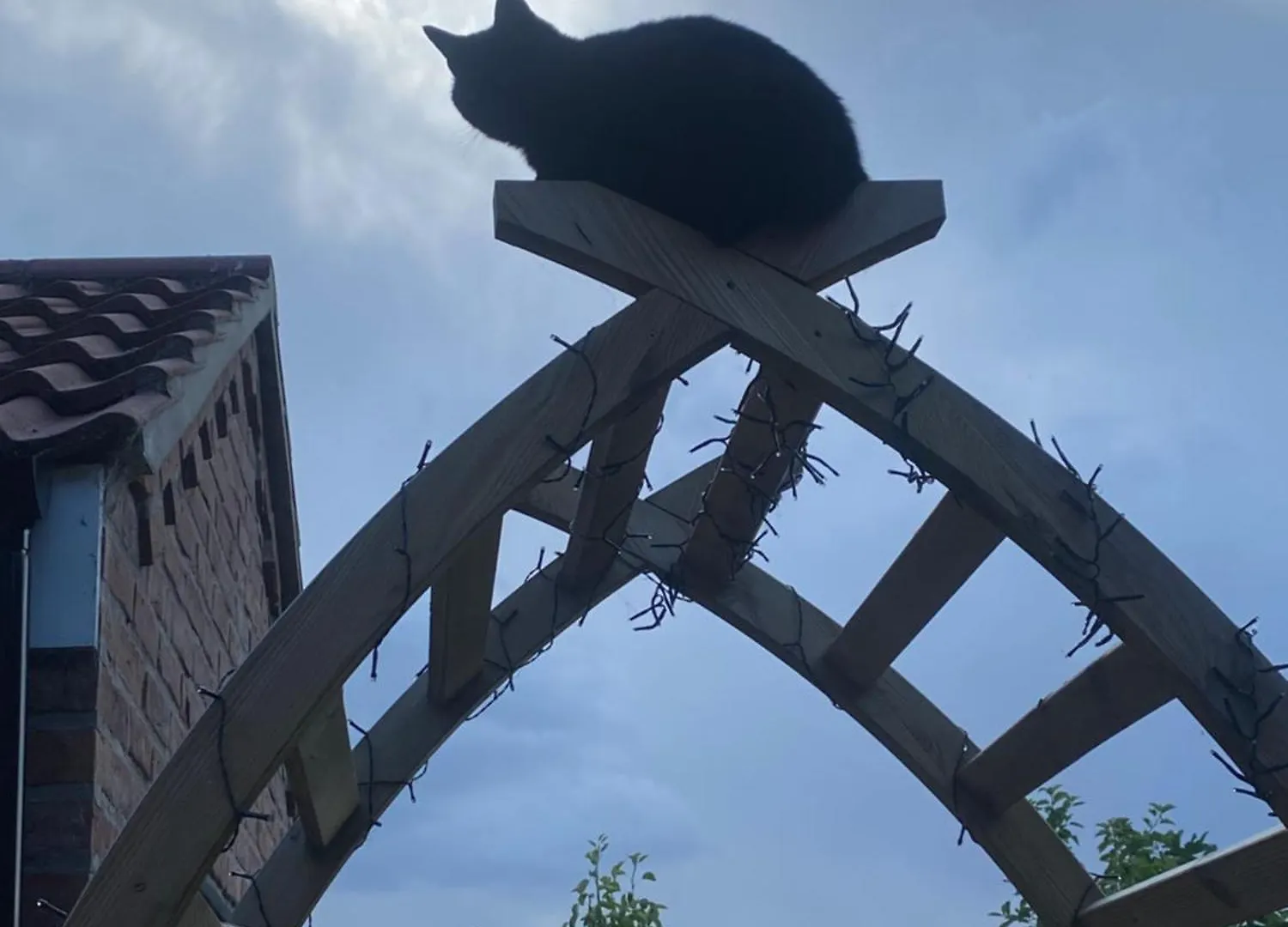 Lägenhet Chez Little Black Cat Patrington Storbritannien